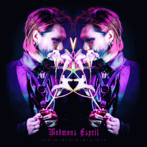 Madmans Esprit : Glorifying Suicide